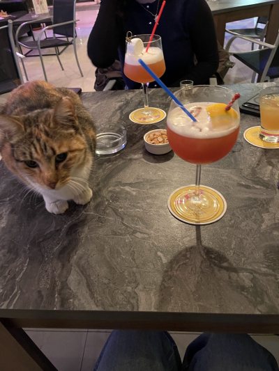 Memories Cocktail Bar