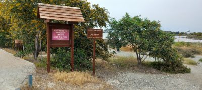 Flamingo observatory spot