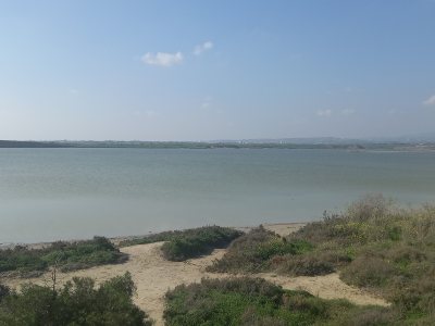 Salt Lake View Point