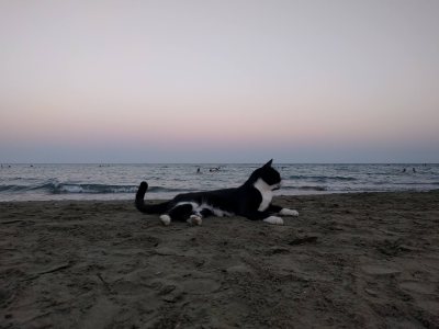 Mackenzie Beach