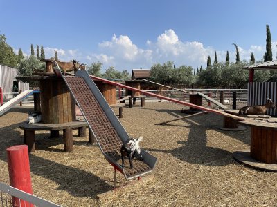 Petrides Farm Park