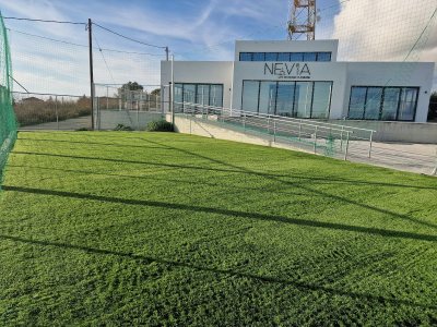 Nevia