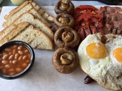 Gastroland Project