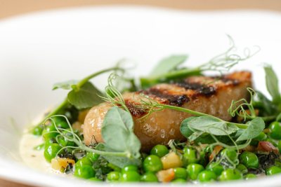 Hungry Monkey Catering