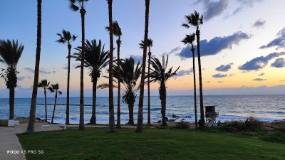 Paphos Gardens
