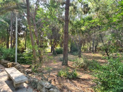 Acropolis Park