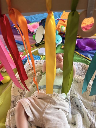The Sensory House