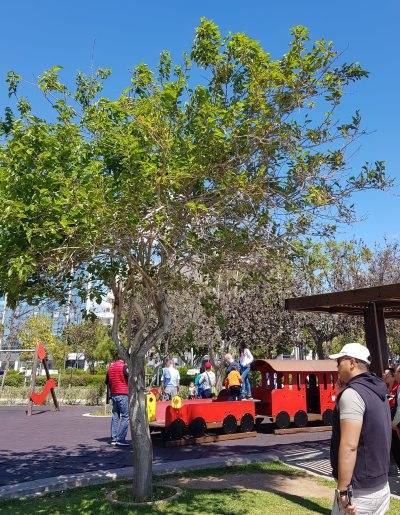 Molos Kid Playground
