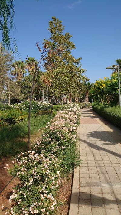Park