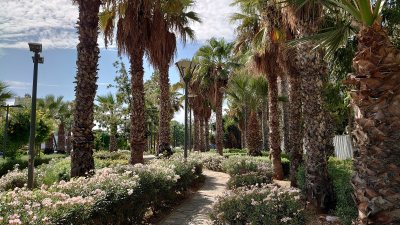 Park