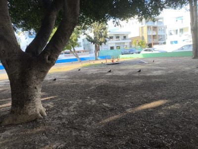 Playround