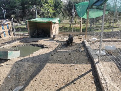 Farm House Aradippou