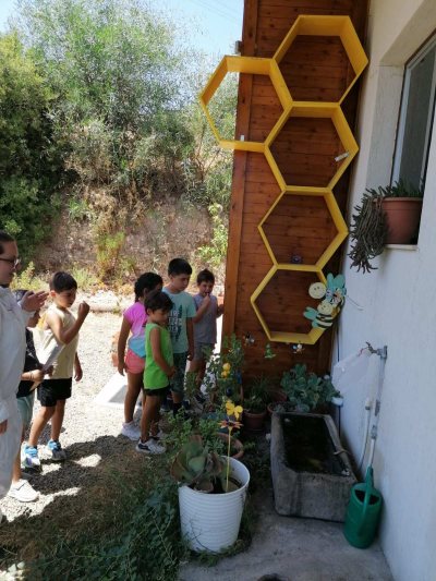 Ecophysis Bee & Nature Center