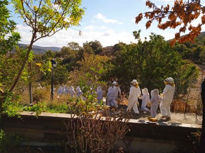 Ecophysis Bee & Nature Center
