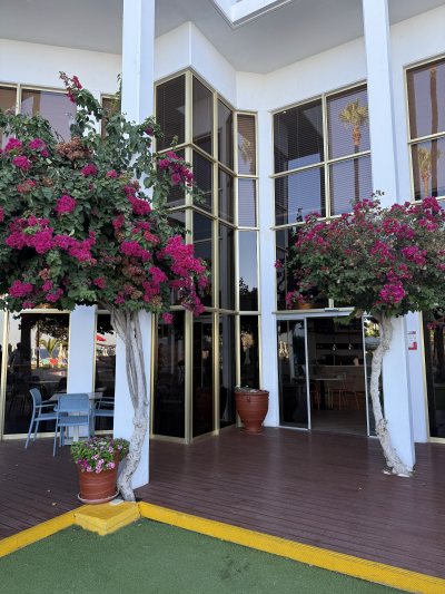 Lockdown Paphos