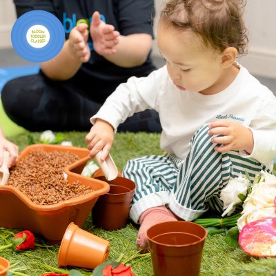 Bloom Toddler Classes Paphos