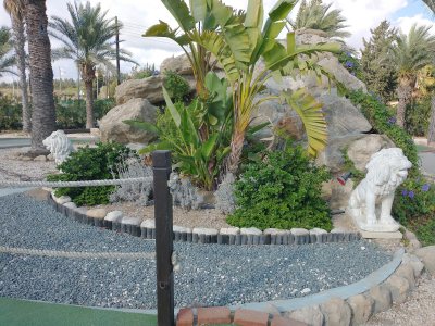 Island Cove Adventure Mini Golf
