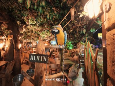 Jungle Mania Restaurant