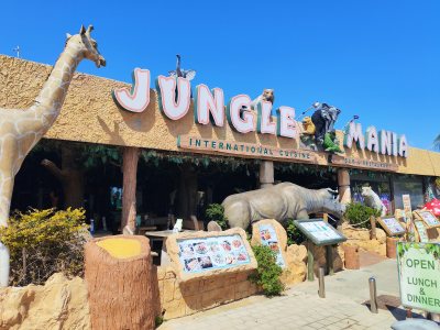 Jungle Mania Restaurant