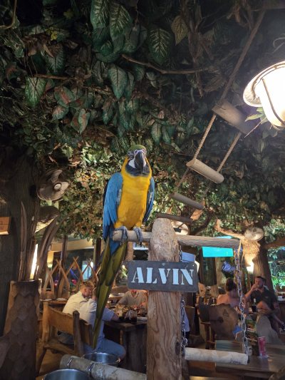 Jungle Mania Restaurant