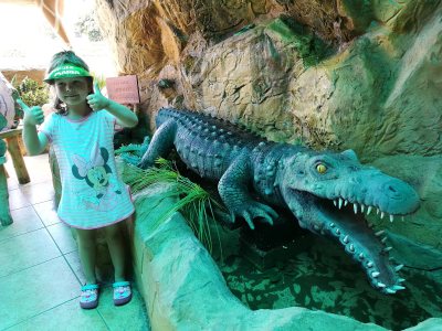Jungle Mania Restaurant