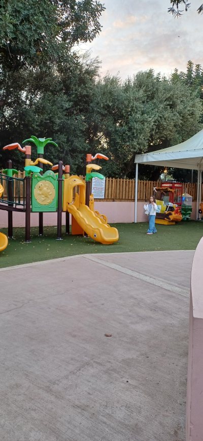 Jungle Playground