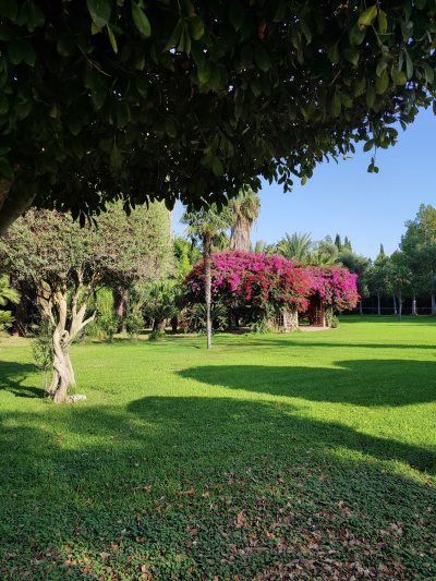 Engomi Park