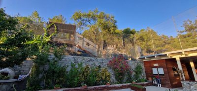Adventure Mountain Park