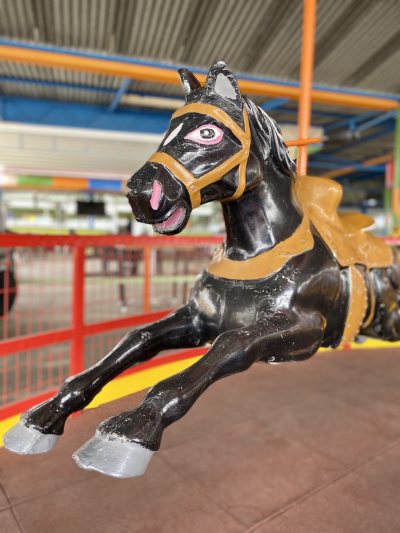 Arizona Luna Park