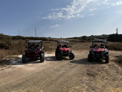 Petrides Rentals - Anything on Wheels