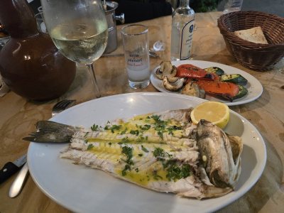 MEZE Taverna Restaurant