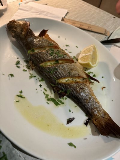 Puesta Oyster Bar & Grill