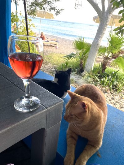 Riccos beach bar