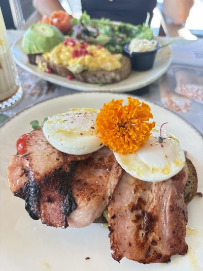 Omikron Brunch