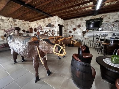 Sterna Winery & Wine Museum-Kathikas,Paphos