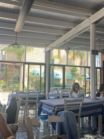 Y&P Fish Tavern