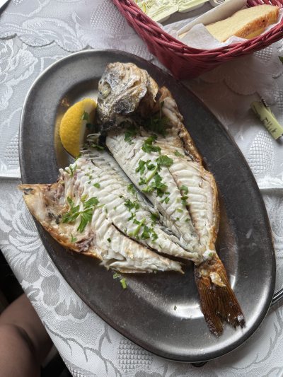 Miki's Tavern & Fish Restaurant