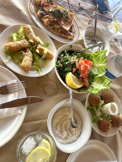 ZAATAR food arts: Lebanese Syrian Cuisine حلال‎ زعتر