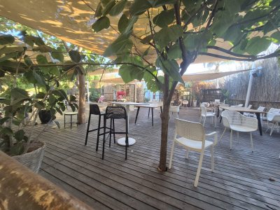 Montego - Beach Bar & Restaurant
