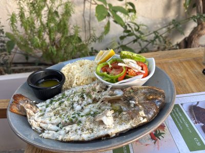 YIASEMI MEZE AND GRILL