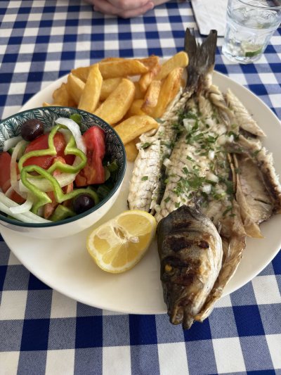 IFALOS TAVERNA