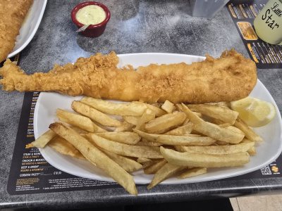 Mr Cod