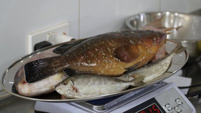 Nissaki