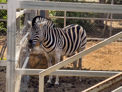 Pafos Zoo