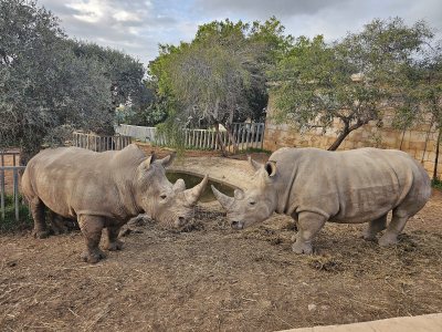 Pafos Zoo