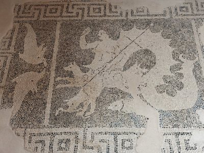 House of Dionysus