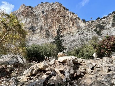 Avakas Gorge Nature Trail