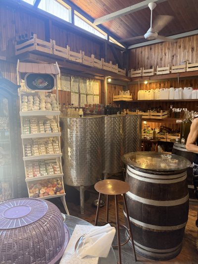 Terra Oliva Organic Olive Farm