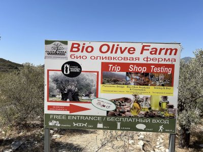 Terra Oliva Organic Olive Farm