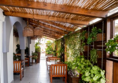 The Alley Garden